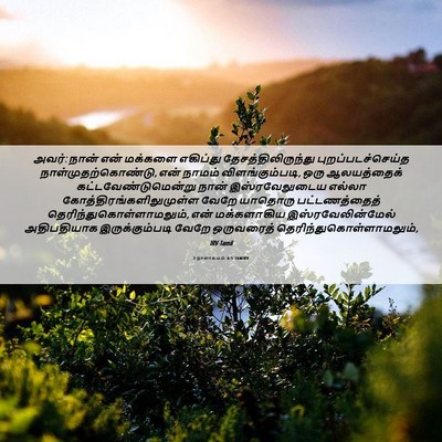 Picture 06 - 2 நாளாகமம் 6:5 TAMIRV - அவர்: நான் என் - Bible Verse Picture