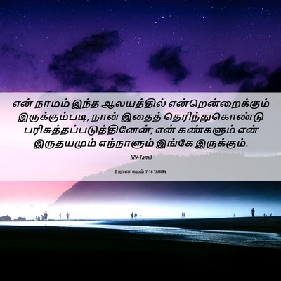 Picture 06 - 2 நாளாகமம் 7:16 TAMIRV - என் நாமம் இந்த - Bible Verse Picture