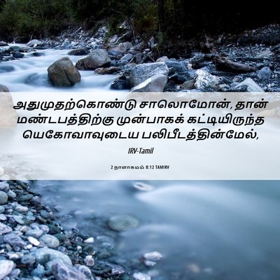 Picture 06 - 2 நாளாகமம் 8:12 TAMIRV - அதுமுதற்கொண்டு - Bible Verse Picture