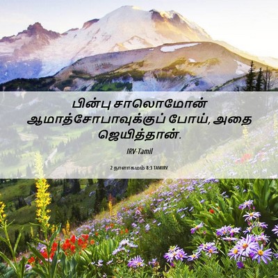 Picture 06 - 2 நாளாகமம் 8:3 TAMIRV - பின்பு சாலொமோன் - Bible Verse Picture