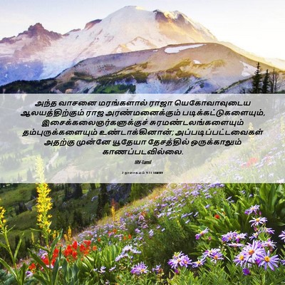 Picture 06 - 2 நாளாகமம் 9:11 TAMIRV - அந்த வாசனை - Bible Verse Picture
