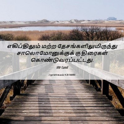 Picture 06 - 2 நாளாகமம் 9:28 TAMIRV - எகிப்திலும் மற்ற - Bible Verse Picture