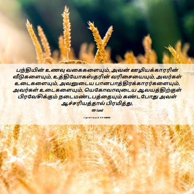 Picture 06 - 2 நாளாகமம் 9:4 TAMIRV - பந்தியின் உணவு - Bible Verse Picture