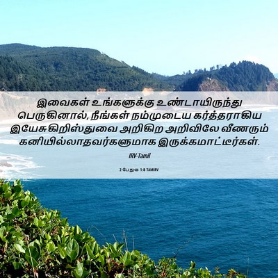 Picture 06 - 2 பேதுரு 1:8 TAMIRV - இவைகள் உங்களுக்கு - Bible Verse Picture