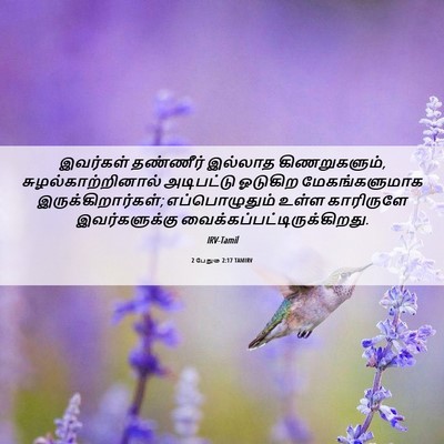 Picture 06 - 2 பேதுரு 2:17 TAMIRV - இவர்கள் தண்ணீர் - Bible Verse Picture