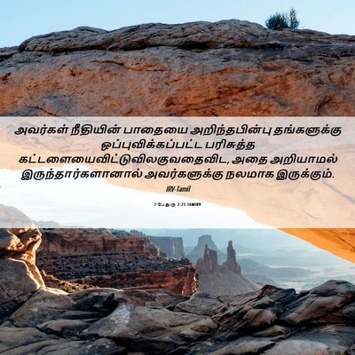 Picture 06 - 2 பேதுரு 2:21 TAMIRV - அவர்கள் நீதியின் - Bible Verse Picture