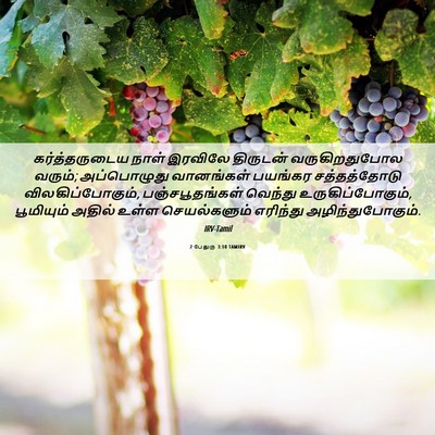 Picture 06 - 2 பேதுரு 3:10 TAMIRV - கர்த்தருடைய நாள் - Bible Verse Picture