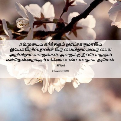 Picture 06 - 2 பேதுரு 3:18 TAMIRV - நம்முடைய - Bible Verse Picture