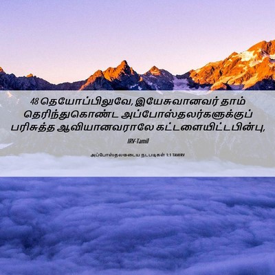 Picture 06 - அப்போஸ்தலருடைய நடபடிகள் 1:1 TAMIRV - 48 தெயோப்பிலுவே, - Bible Verse Picture