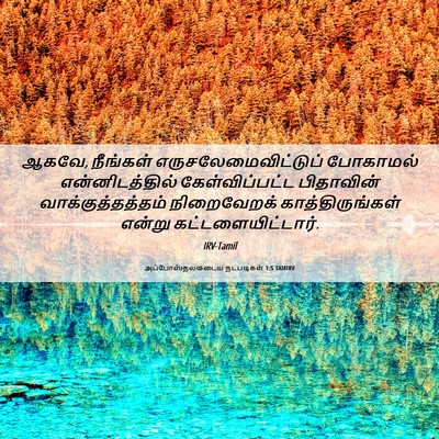 Picture 06 - அப்போஸ்தலருடைய நடபடிகள் 1:5 TAMIRV - ஆகவே, நீங்கள் - Bible Verse Picture