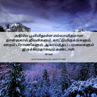 Picture 06 - அப்போஸ்தலருடைய நடபடிகள் 10:12 TAMIRV - அதிலே பூமியிலுள்ள - Bible Verse Picture