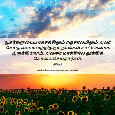 Picture 06 - அப்போஸ்தலருடைய நடபடிகள் 10:39 TAMIRV - யூதர்களுடைய - Bible Verse Picture
