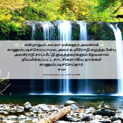 Picture 06 - அப்போஸ்தலருடைய நடபடிகள் 10:41 TAMIRV - என்றாலும், எல்லா - Bible Verse Picture