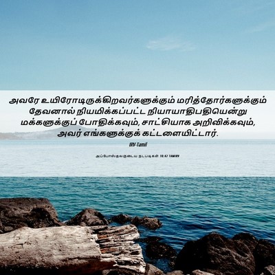 Picture 06 - அப்போஸ்தலருடைய நடபடிகள் 10:42 TAMIRV - அவரே - Bible Verse Picture