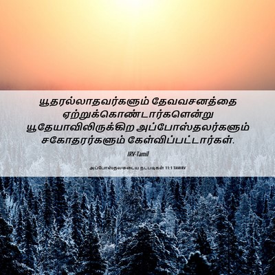 Picture 06 - அப்போஸ்தலருடைய நடபடிகள் 11:1 TAMIRV -  - Bible Verse Picture