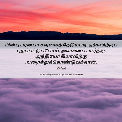 Picture 06 - அப்போஸ்தலருடைய நடபடிகள் 11:25 TAMIRV - பின்பு பர்னபா - Bible Verse Picture