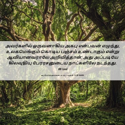 Picture 06 - அப்போஸ்தலருடைய நடபடிகள் 11:28 TAMIRV - அவர்களில் - Bible Verse Picture