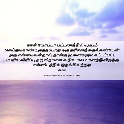 Picture 06 - அப்போஸ்தலருடைய நடபடிகள் 11:5 TAMIRV - நான் யோப்பா - Bible Verse Picture