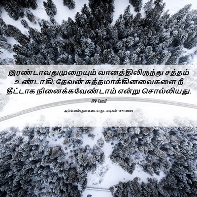 Picture 06 - அப்போஸ்தலருடைய நடபடிகள் 11:9 TAMIRV -  - Bible Verse Picture