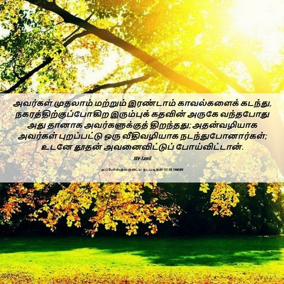 Picture 06 - அப்போஸ்தலருடைய நடபடிகள் 12:10 TAMIRV - அவர்கள் முதலாம் - Bible Verse Picture