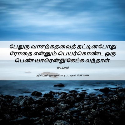 Picture 06 - அப்போஸ்தலருடைய நடபடிகள் 12:13 TAMIRV - பேதுரு - Bible Verse Picture