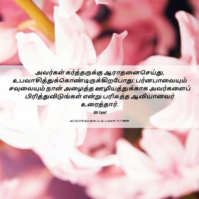 Picture 06 - அப்போஸ்தலருடைய நடபடிகள் 13:2 TAMIRV - அவர்கள் - Bible Verse Picture