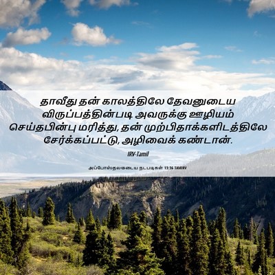 Picture 06 - அப்போஸ்தலருடைய நடபடிகள் 13:36 TAMIRV - தாவீது தன் - Bible Verse Picture