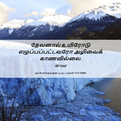Picture 06 - அப்போஸ்தலருடைய நடபடிகள் 13:37 TAMIRV - தேவனால் உயிரோடு - Bible Verse Picture