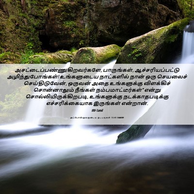 Picture 06 - அப்போஸ்தலருடைய நடபடிகள் 13:41 TAMIRV -  - Bible Verse Picture