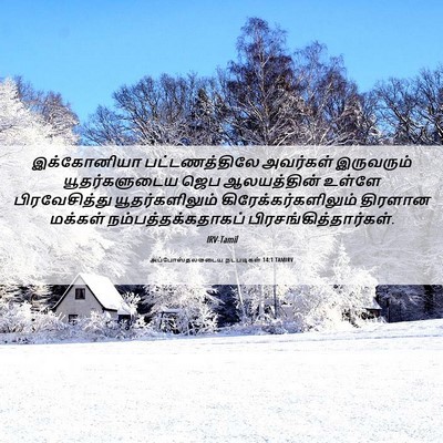 Picture 06 - அப்போஸ்தலருடைய நடபடிகள் 14:1 TAMIRV - இக்கோனியா - Bible Verse Picture