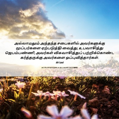 Picture 06 - அப்போஸ்தலருடைய நடபடிகள் 14:23 TAMIRV - அல்லாமலும் - Bible Verse Picture