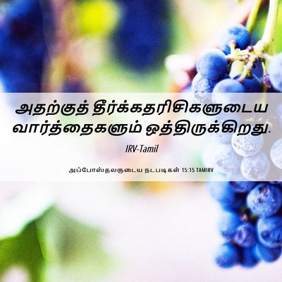 Picture 06 - அப்போஸ்தலருடைய நடபடிகள் 15:15 TAMIRV - அதற்குத் - Bible Verse Picture