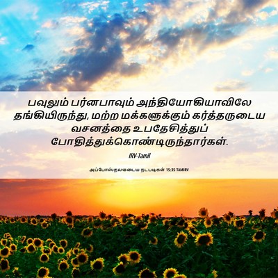 Picture 06 - அப்போஸ்தலருடைய நடபடிகள் 15:35 TAMIRV - பவுலும் - Bible Verse Picture
