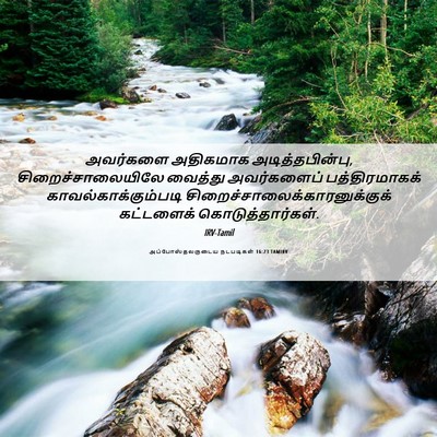 Picture 06 - அப்போஸ்தலருடைய நடபடிகள் 16:23 TAMIRV - அவர்களை அதிகமாக - Bible Verse Picture
