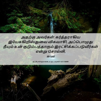 Picture 06 - அப்போஸ்தலருடைய நடபடிகள் 16:31 TAMIRV - அதற்கு அவர்கள்: - Bible Verse Picture