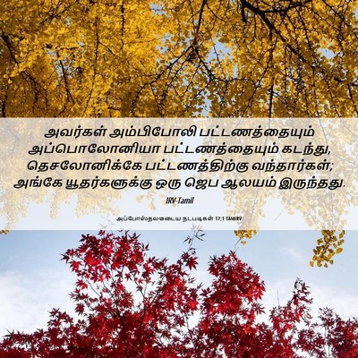 Picture 06 - அப்போஸ்தலருடைய நடபடிகள் 17:1 TAMIRV - அவர்கள் அம்பிபோலி - Bible Verse Picture
