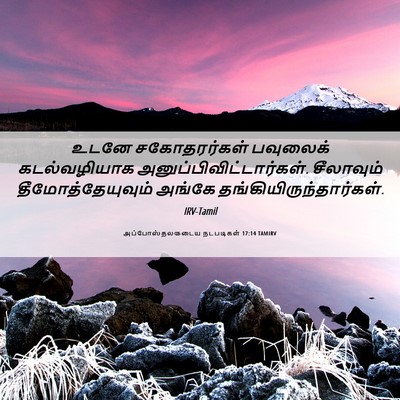 Picture 06 - அப்போஸ்தலருடைய நடபடிகள் 17:14 TAMIRV - உடனே சகோதரர்கள் - Bible Verse Picture