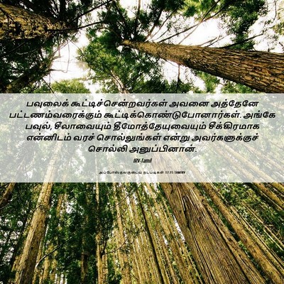 Picture 06 - அப்போஸ்தலருடைய நடபடிகள் 17:15 TAMIRV - பவுலைக் - Bible Verse Picture