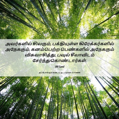 Picture 06 - அப்போஸ்தலருடைய நடபடிகள் 17:4 TAMIRV - அவர்களில் - Bible Verse Picture