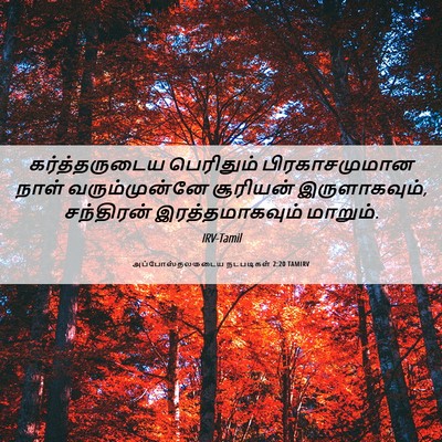 Picture 06 - அப்போஸ்தலருடைய நடபடிகள் 2:20 TAMIRV - கர்த்தருடைய - Bible Verse Picture