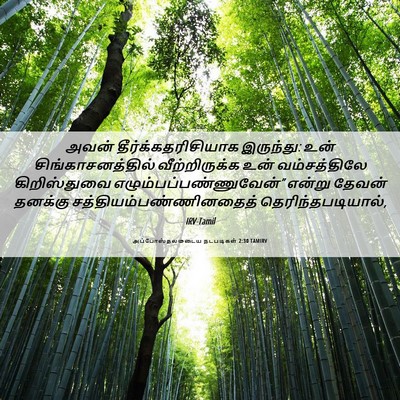 Picture 06 - அப்போஸ்தலருடைய நடபடிகள் 2:30 TAMIRV - அவன் - Bible Verse Picture