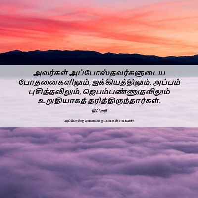 Picture 06 - அப்போஸ்தலருடைய நடபடிகள் 2:42 TAMIRV - அவர்கள் - Bible Verse Picture