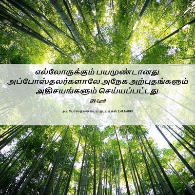 Picture 06 - அப்போஸ்தலருடைய நடபடிகள் 2:43 TAMIRV - எல்லோருக்கும் - Bible Verse Picture
