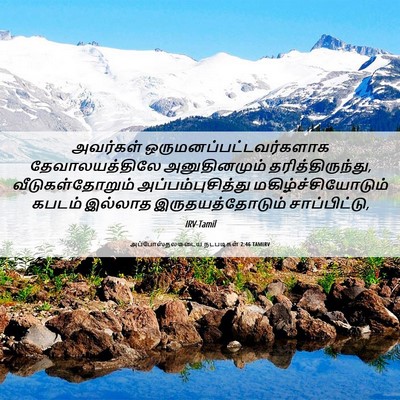 Picture 06 - அப்போஸ்தலருடைய நடபடிகள் 2:46 TAMIRV - அவர்கள் - Bible Verse Picture