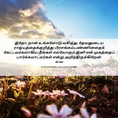 Picture 06 - அப்போஸ்தலருடைய நடபடிகள் 20:25 TAMIRV - இதோ, நான் உங்களோடு - Bible Verse Picture