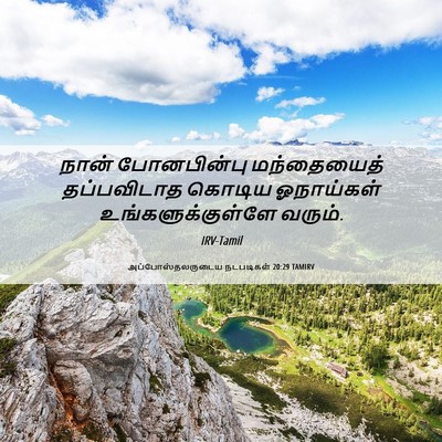 Picture 06 - அப்போஸ்தலருடைய நடபடிகள் 20:29 TAMIRV - நான் போனபின்பு - Bible Verse Picture