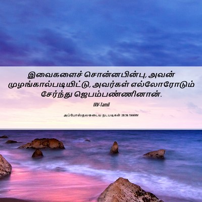 Picture 06 - அப்போஸ்தலருடைய நடபடிகள் 20:36 TAMIRV - இவைகளைச் - Bible Verse Picture