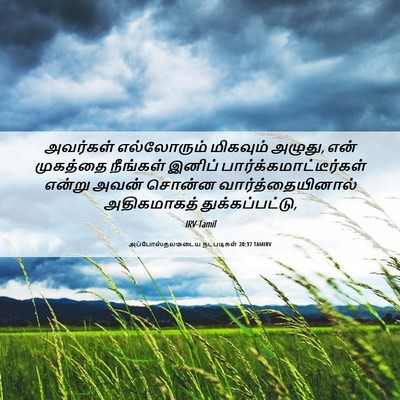 Picture 06 - அப்போஸ்தலருடைய நடபடிகள் 20:37 TAMIRV - அவர்கள் எல்லோரும் - Bible Verse Picture