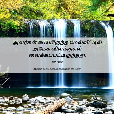 Picture 06 - அப்போஸ்தலருடைய நடபடிகள் 20:8 TAMIRV - அவர்கள் - Bible Verse Picture