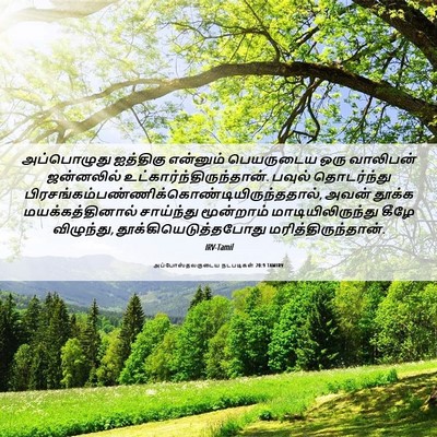 Picture 06 - அப்போஸ்தலருடைய நடபடிகள் 20:9 TAMIRV - அப்பொழுது ஐத்திகு - Bible Verse Picture